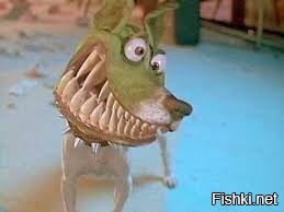 Солянка от 16.02.2026