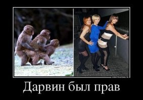 Демотиваторы на злобу дня