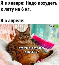Скрины из соцсетей