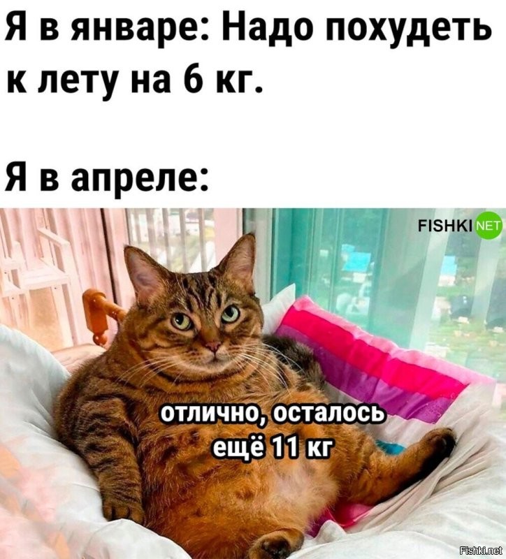 Скрины из соцсетей