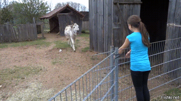 Парень нашёл родственную душу