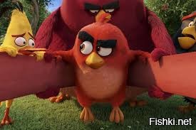 Попугай какапо, не летает, вес до 4 кг, Новая Зеландия