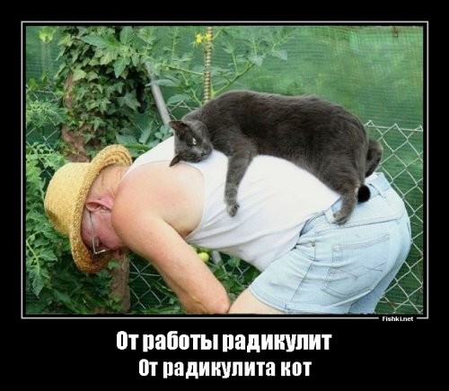 Пушистый помощник ювелира