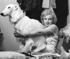 на собакена то посмотрите!