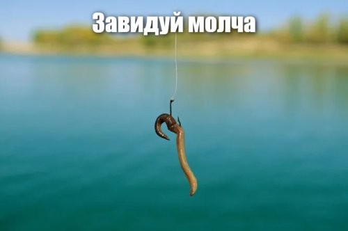 Солянка от 17.02.2026