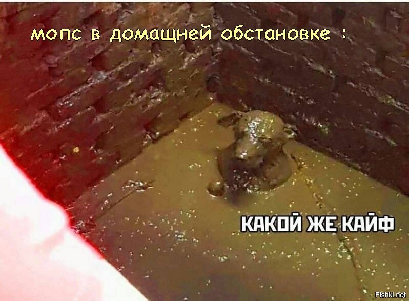 Солянка от 16.02.2026