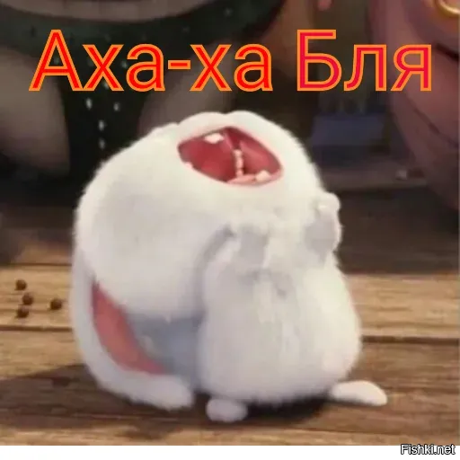 Смешные картинки