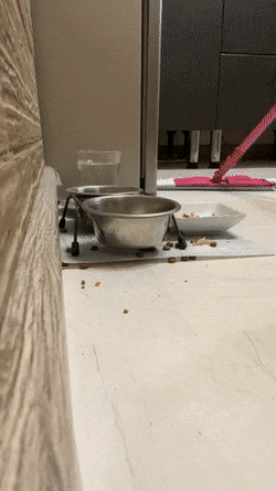 Просто гифки, всякие и разные