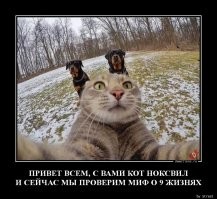 20 фото животных, которые одновременно умиляют и пугают