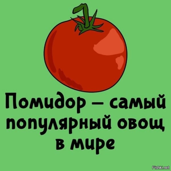 Помидор это фрукт, а вернее ягода.