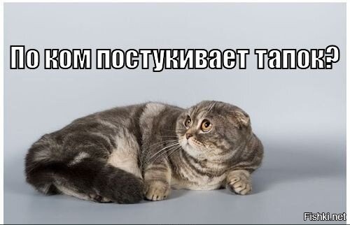 Солянка от 18.02.2026