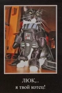 Парень печатает головные уборы для своего кота