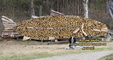 На общую тему&nbsp;