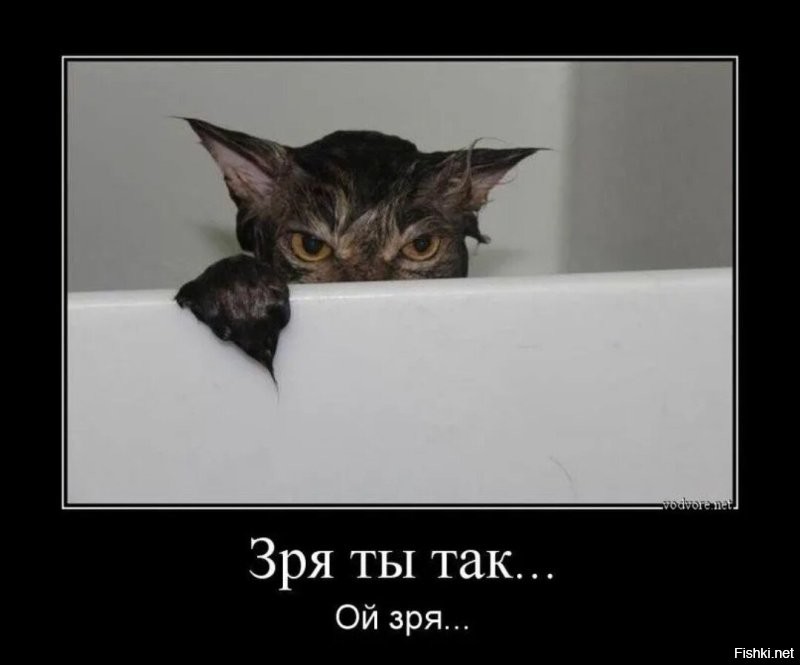 Парень печатает головные уборы для своего кота