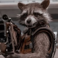 Еноты как потенциальные строители цивилизации