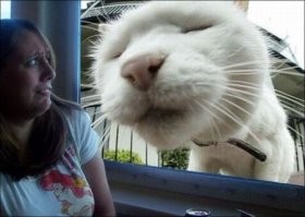 Скрины из соцсетей