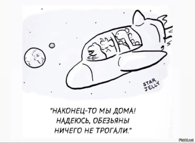 Скрины из соцсетей
