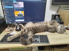 Вот причина. Он кушать хочет именно в 4 утра...