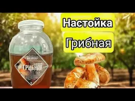 Ну ... за Гриба!