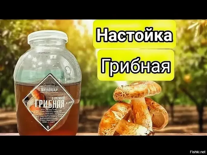 Ну ... за Гриба!