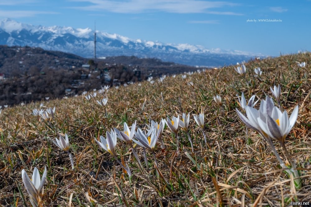 сегодня в предгорье