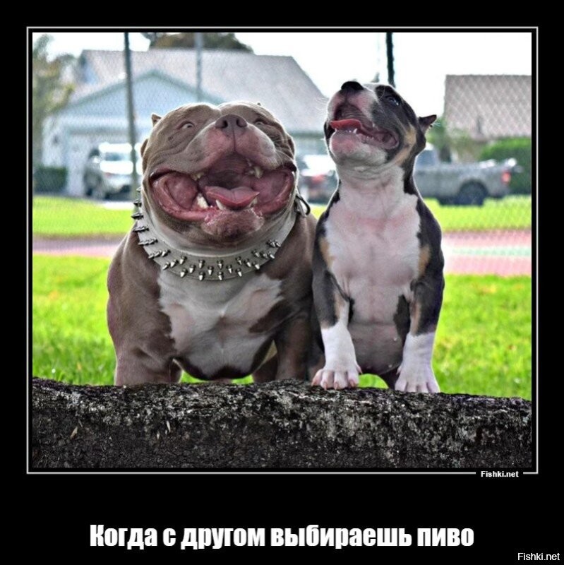 Намешалось