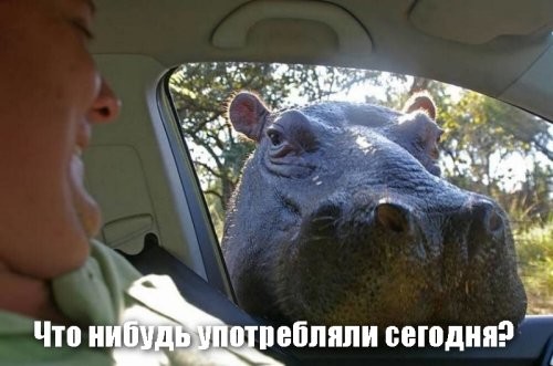 На общую тему&nbsp;