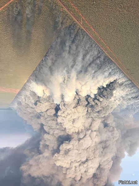 Лажу какую-то нам подсовывают. Вот настоящий австралийский лесной пожар: