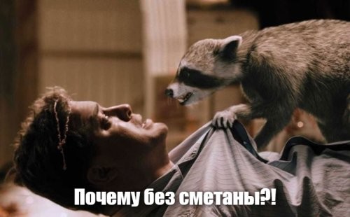 Енот кушает блин