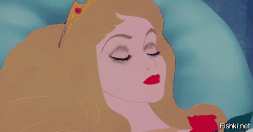 Солянка от 19.02.2026