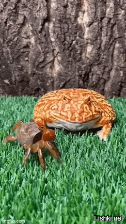 Это тебе не гадюк ***ть.
