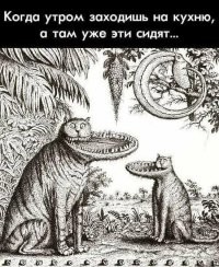 Утро владельца хаски
