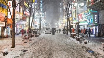 Во-первых, показала она не мегаполис, а какой-то коттеджный посёлок в нашем понимании, где и нагрузка на дороги небольшая, и с загрязнением воздуха всё гораздо лучше. Для примера прикрепляю фото улочки Токио, где тоже не сказать, что кристально чисто, так как проходимость улицы совершенно другая. 
Во-вторых, видно же, что на улицах лежит свежевыпавший снег. Так-то и в Москве после снегопада всё офигенно красиво выглядит, особенно с утра, когда ещё не успели натоптать.
В-третьих, как тут уже писали в комментариях, многое зависит от климата. Сколько в Японии снежных дней в году? И какое количество осадков выпадает за этот период? В том же Токио снегопады за всю зиму бывают 2-3 дня. 
Ну и, в-четвёртых, справедливости ради, японцы действительно отличаются трепетным отношением к чистоте. И в целом, всё озвученное в видео имеет место быть, просто это не единственные факторы, которые влияют на чистоту на улицах зимой.