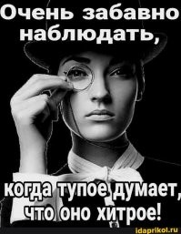 тупорылым детям баранов нечего делать в городах людей!