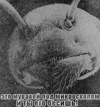 Мне больше нравится этот вариант.
))