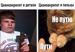 Милые котейки