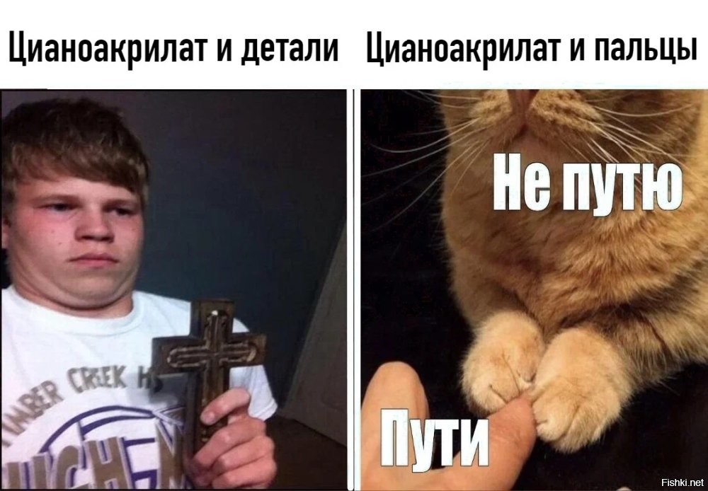 Милые котейки