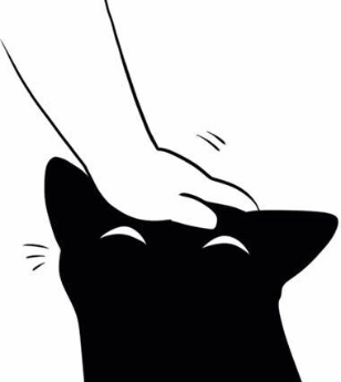 Китайский фигурист тренируется вместе с котом