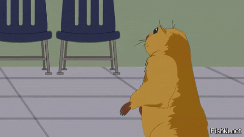 Из жизни луговых собачек