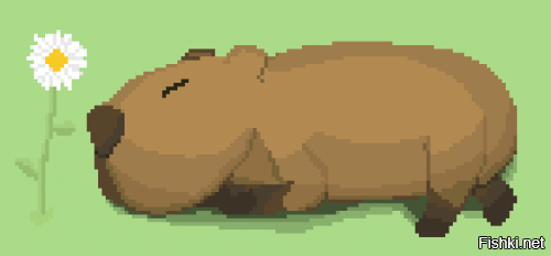 Кафе с капибарой и кошками в Токио