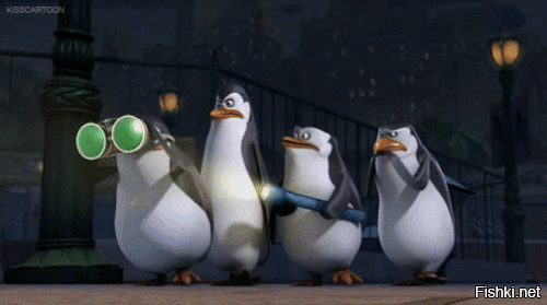 В китайском Харбине прошёл ежегодный парад пингвинов