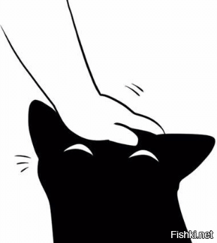 Китайский фигурист тренируется вместе с котом