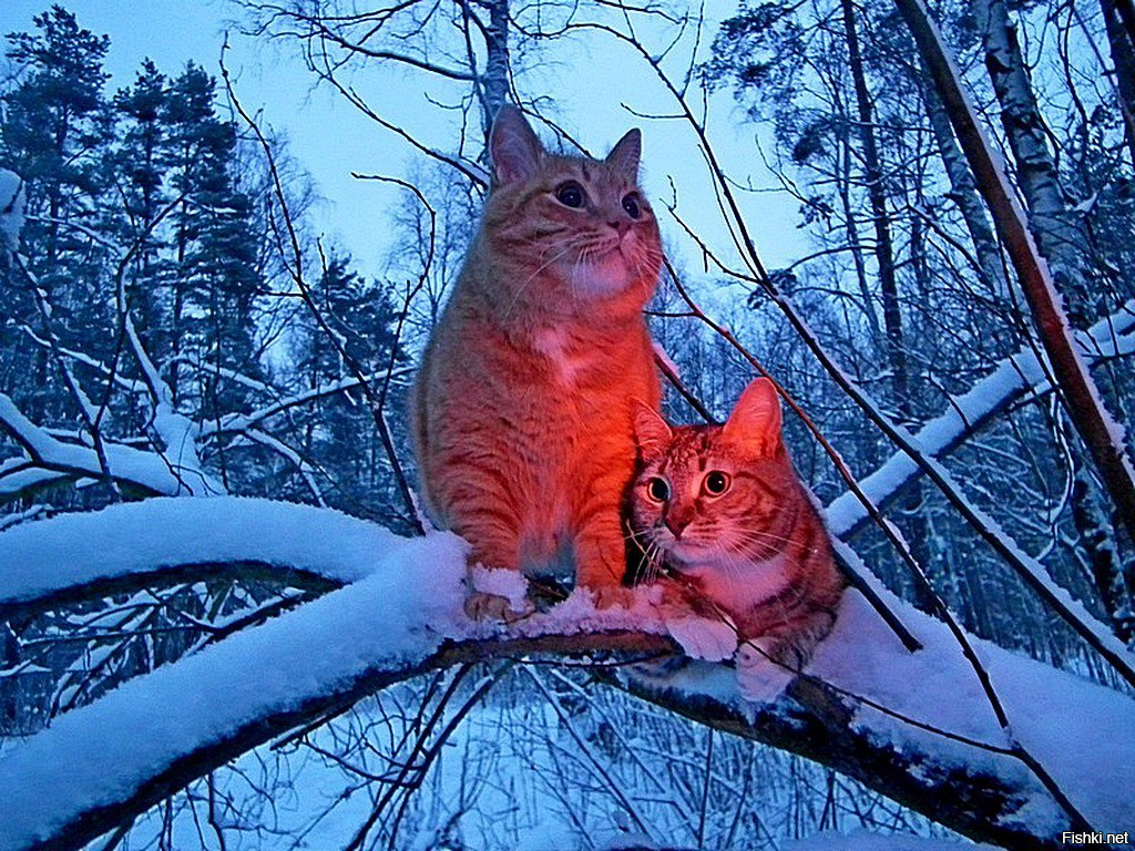 Ну как, видно её, идёт уже?