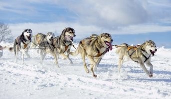 "рецепт"  тишины   :)