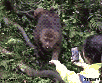 Пассажиры метро помешали негодяю ограбить девушку