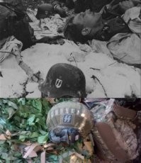 нацистов на украине нет, да?..