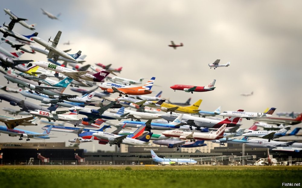 >>> 23. Фотография пчёл, сделанная с помощью покадровой съёмки