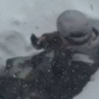 Может у неё дома Вай-фай из соседнего кафе плохо ловит?