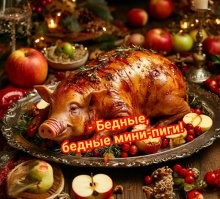 Россельхознадзор озаботился «переработками» мини-пигов в ярославском антикафе