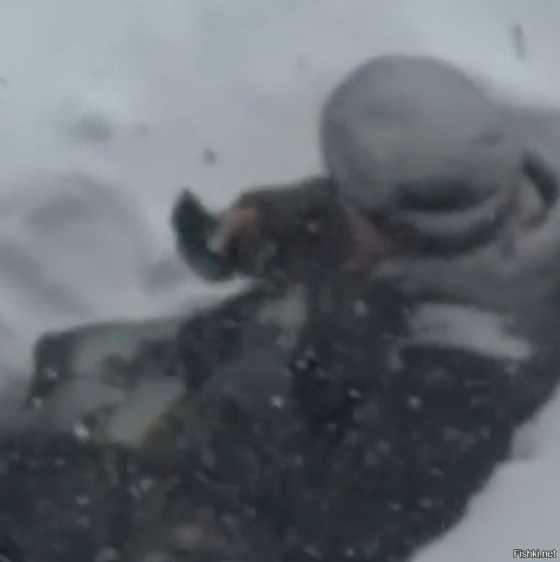 Может у неё дома Вай-фай из соседнего кафе плохо ловит?